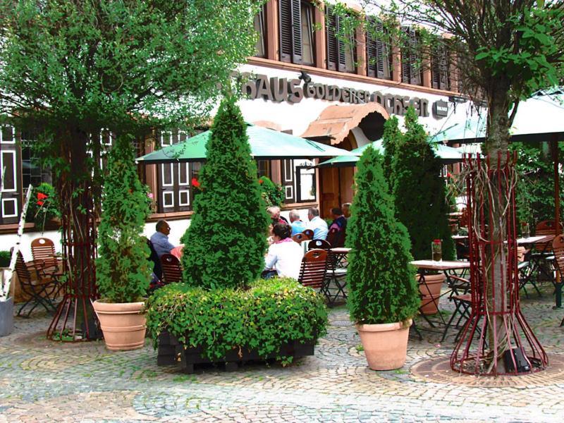 Hotel Zum Goldenen Ochsen Maikammer Exterior foto